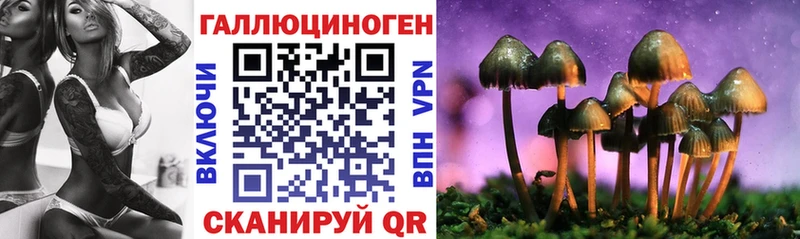 Псилоцибиновые грибы MAGIC MUSHROOMS  наркота  Алдан 